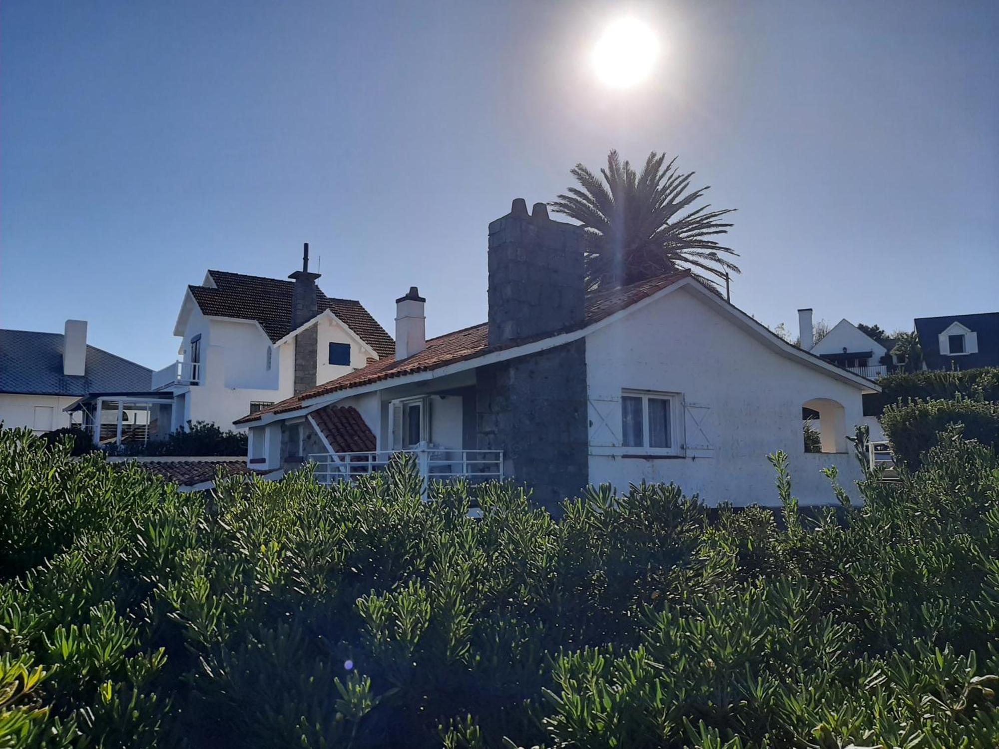 Los Sargos Punta del Este Dış mekan fotoğraf