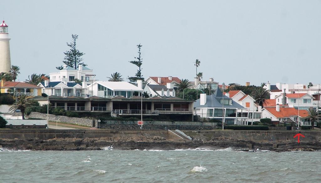 Los Sargos Punta del Este Dış mekan fotoğraf