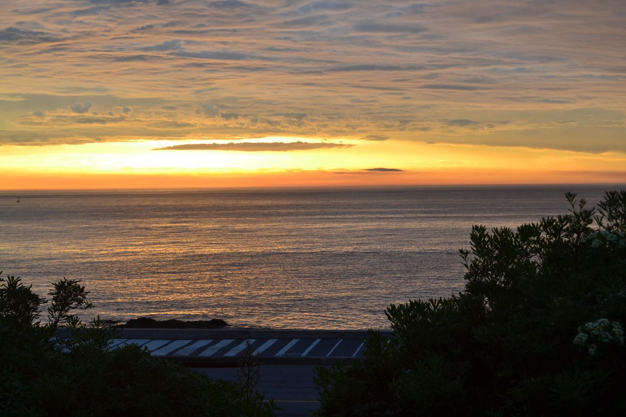 Los Sargos Punta del Este Dış mekan fotoğraf