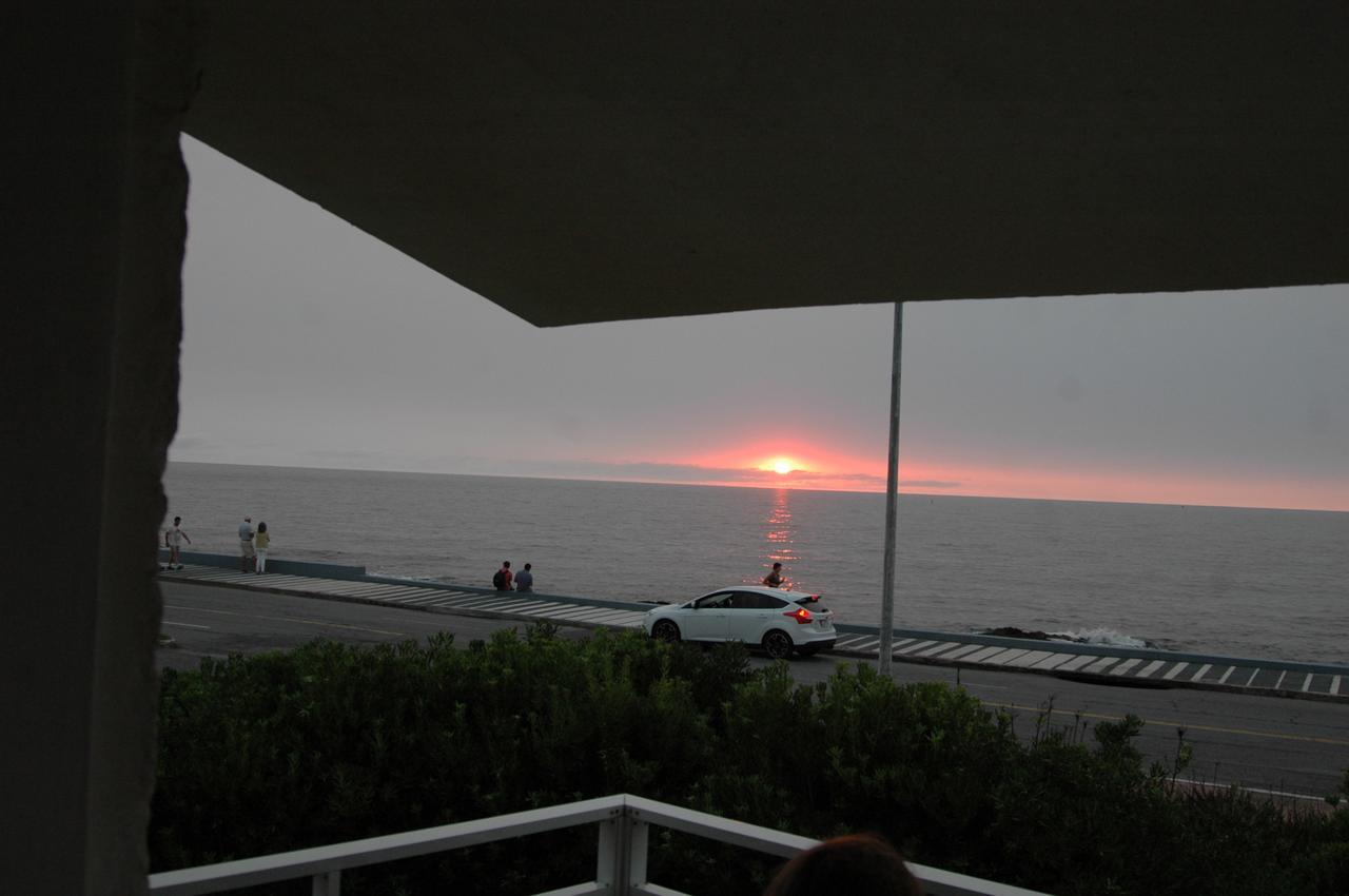 Los Sargos Punta del Este Dış mekan fotoğraf