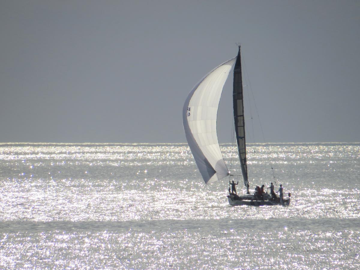 Los Sargos Punta del Este Dış mekan fotoğraf