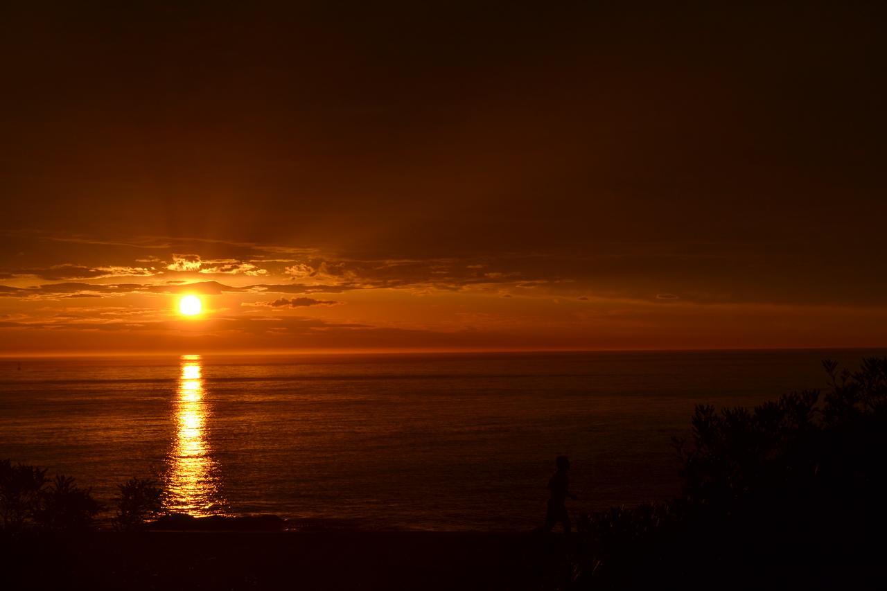 Los Sargos Punta del Este Dış mekan fotoğraf